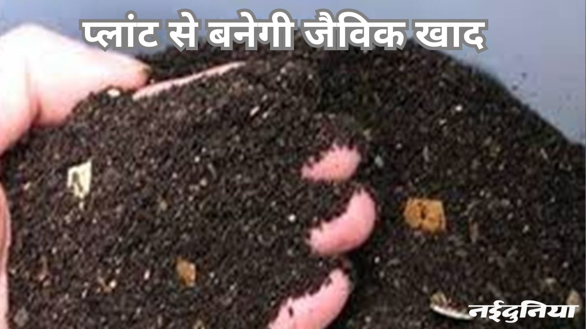 naidunia_image
